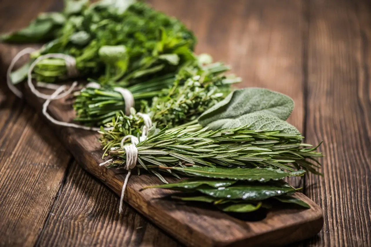 Come conservare le erbe aromatiche in cucina: i trucchi per mantenerle fresche