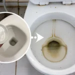 Come sbiancare il WC: ecco il rimedio definitivo