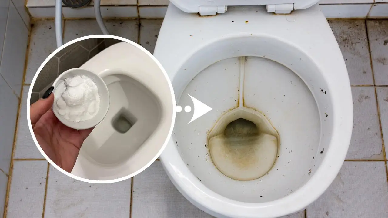 Come sbiancare il WC: ecco il rimedio definitivo
