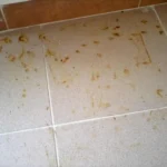 Attenzione al detersivo per pavimenti: se contiene questo ingrediente può danneggiare il gres