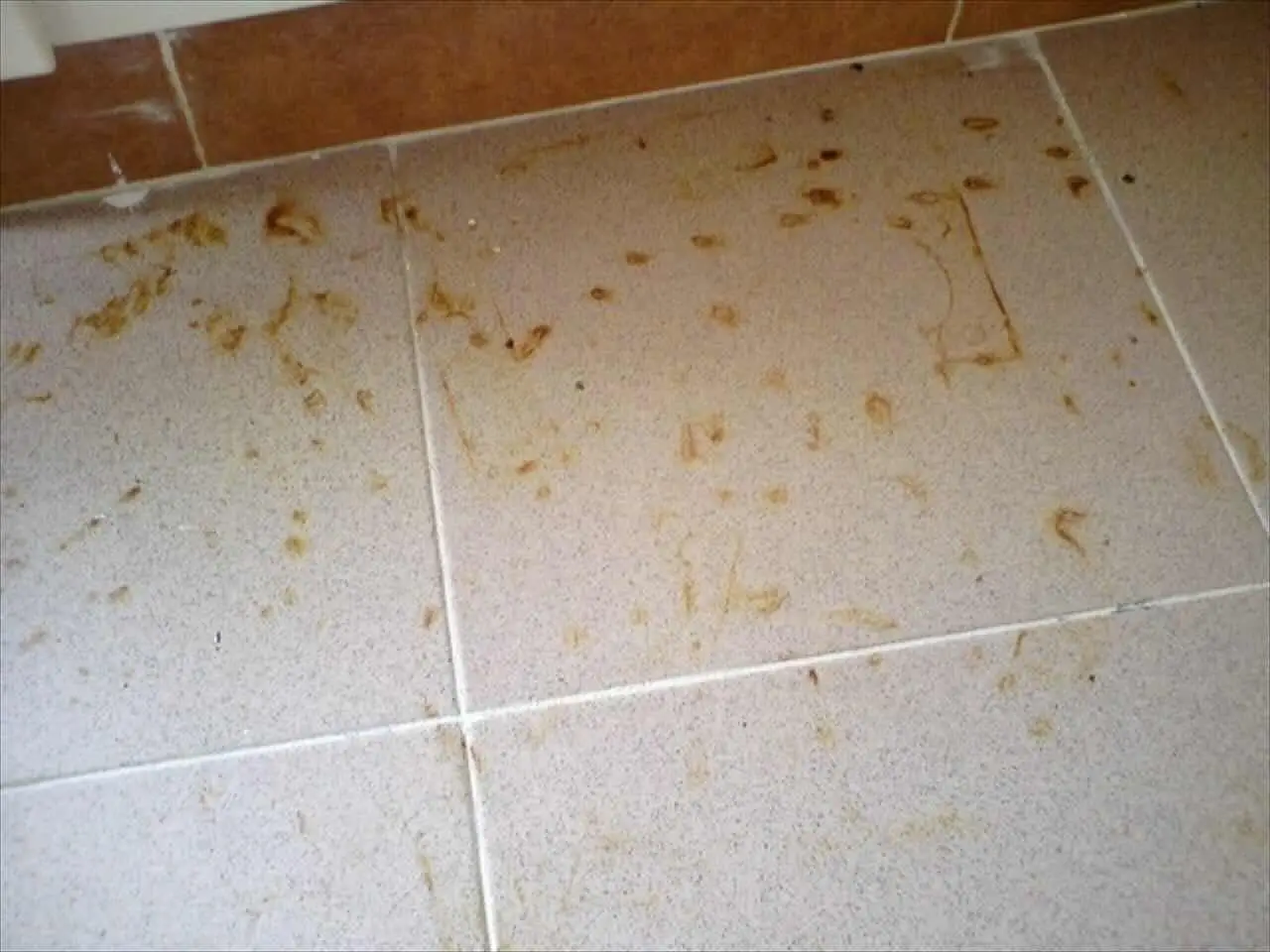 Attenzione al detersivo per pavimenti: se contiene questo ingrediente può danneggiare il gres