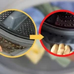 Come pulire la guarnizione della lavatrice: il rimedio migliore