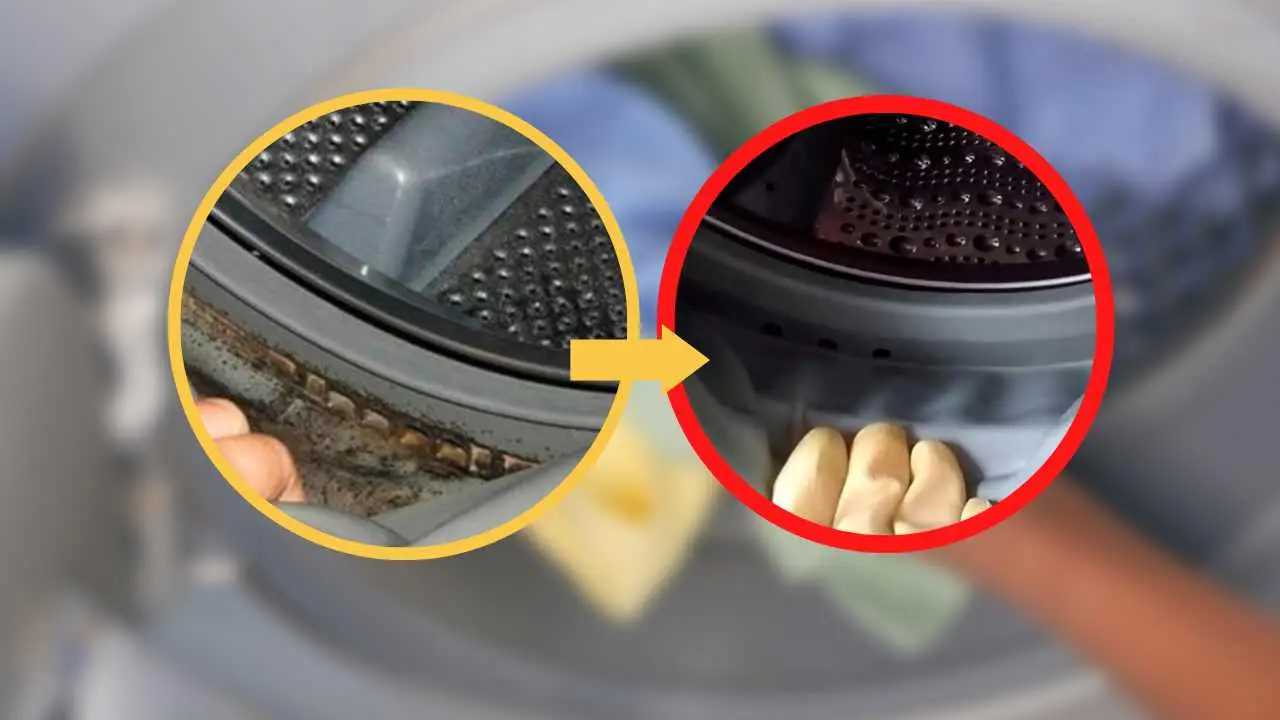 Come pulire la guarnizione della lavatrice: il rimedio migliore