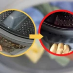 Come pulire la guarnizione della lavatrice: ecco il rimedio della nonna