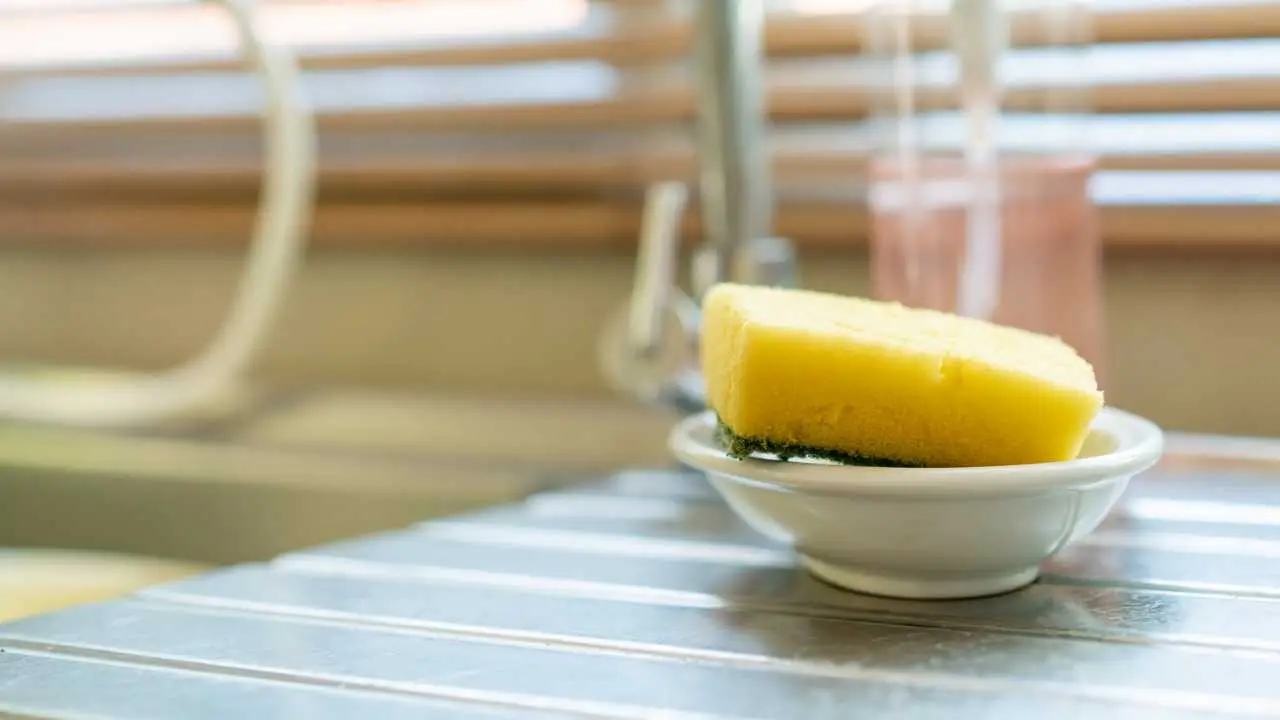 Attenzione alle spugne da cucina: ecco ogni quanto dovresti cambiarle