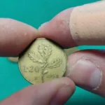 20 lire con ramo di quercia: se coniata nel 1968 può valere molto